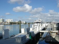 Enlarge photo 67