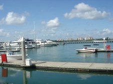 Enlarge photo 71