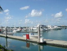 Enlarge photo 72