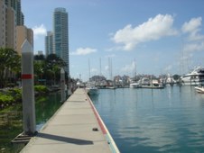 Enlarge photo 74