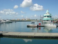 Enlarge photo 78