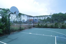 Enlarge photo 62