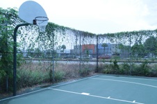 Enlarge photo 64