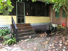 Enlarge photo 92