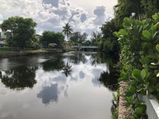 Enlarge photo 149
