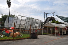 Enlarge photo 16