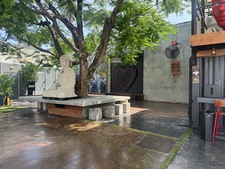Enlarge photo 43