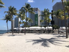 Enlarge photo 113