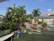 Enlarge photo 29