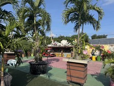 Enlarge photo 26