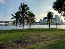 Enlarge photo 88