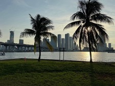Enlarge photo 91
