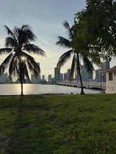 Enlarge photo 93