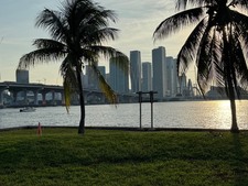 Enlarge photo 95