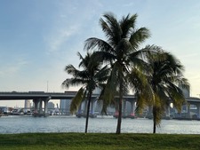 Enlarge photo 96