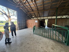Enlarge photo 21