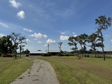 Enlarge photo 49