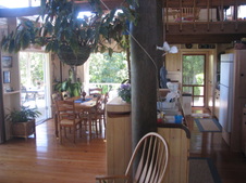 Enlarge photo 16