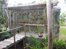 Enlarge photo 36