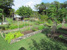 Enlarge photo 24