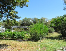 Enlarge photo 23