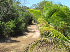 Enlarge photo 26