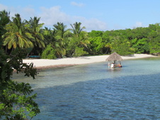 Enlarge photo 5