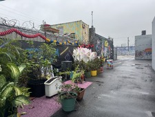 TINY LOCATIONS / LITTLE DOMINICA