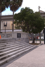 Enlarge photo 159