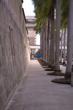 Enlarge photo 138