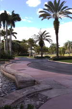 Enlarge photo 70