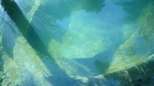 PONDS---