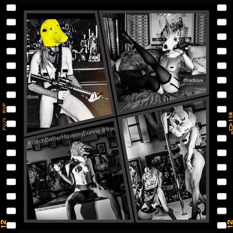 Enlarge photo 178