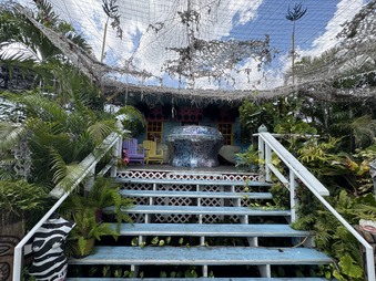 Enlarge photo 68