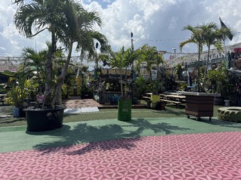 Enlarge photo 52