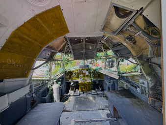 Enlarge photo 87