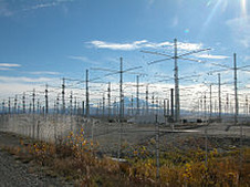 Enlarge photo 44