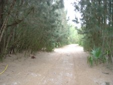 Enlarge photo 21