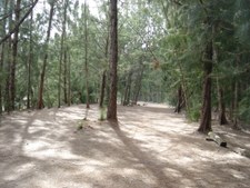 Enlarge photo 27