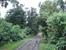 Enlarge photo 35