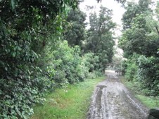 Enlarge photo 36