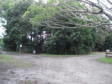 Enlarge photo 38