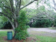 Enlarge photo 39