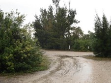 Enlarge photo 40