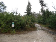 Enlarge photo 41