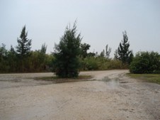 Enlarge photo 45