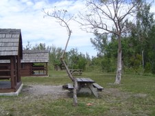 Enlarge photo 63