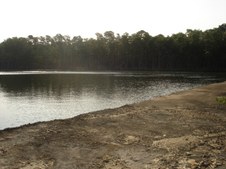 Enlarge photo 55