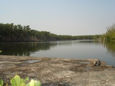 Enlarge photo 56