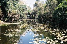 Enlarge photo 33